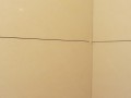 IMG  13 